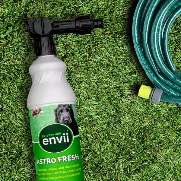 Astro Fresh on Astroturf with hosepipe