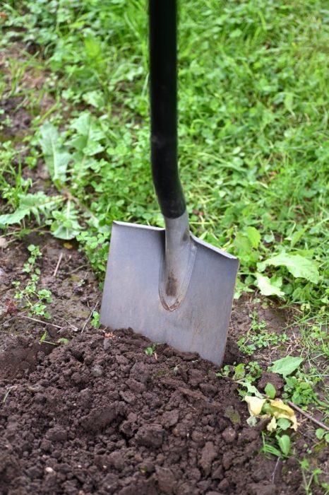 soil preparing vegetable bed february
