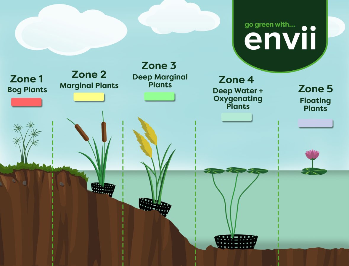 Plant Zone. Aquatic Plant распылитель co2 3 в 1. Pond Plants names. Trail in nodes with Wetland Aquatic planting.