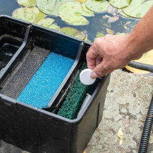 Photo of Hand putting Envii Filter feed tablet in pond filter
