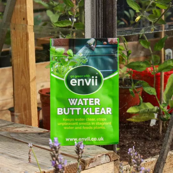Water butt klear in front of greenhouse