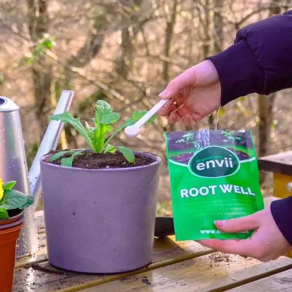 Using Root Well on a plant