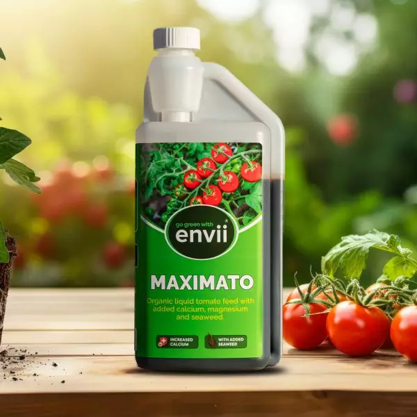 Maximato tomato feed still image with garden in the background.